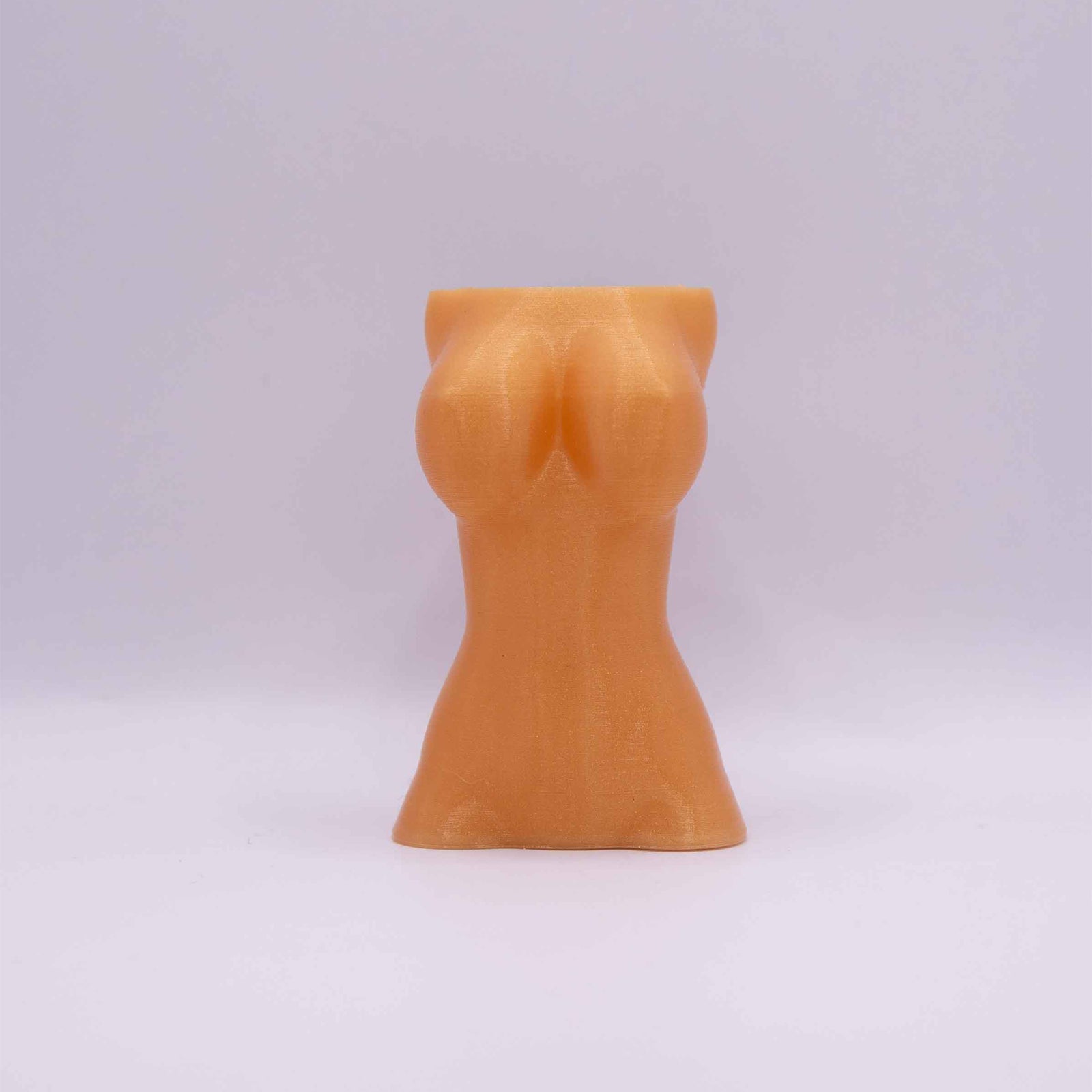 Female Torso - Cardening Mini Vase Car Accessory