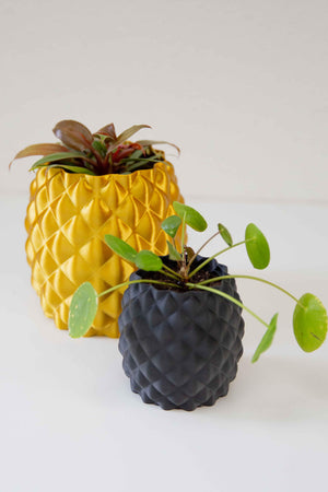 The Pineapple - Planter