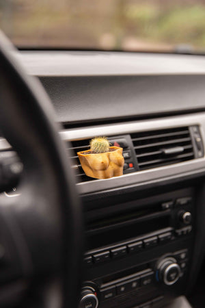 Boobies Cup A - Cardening Mini Planter Car Accessory