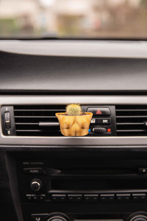 Boobies Cup A - Cardening Mini Planter Car Accessory