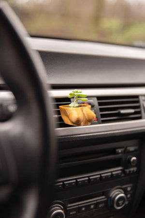 Boobies Cup D - Cardening Mini Planter Car Accessory