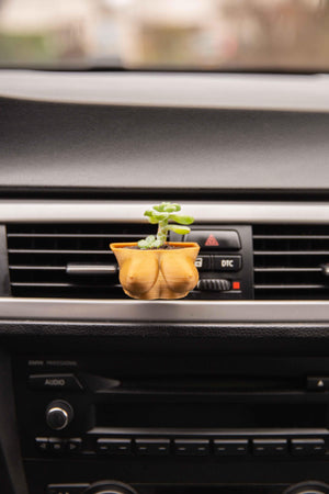 Boobies Cup D - Cardening Mini Planter Car Accessory