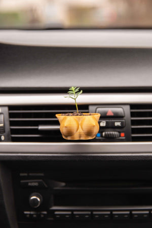 Boobies Cup DD - Cardening Mini Planter Car Accessory