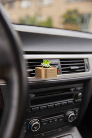 Dione - Cardening Mini Planter Car Accessory