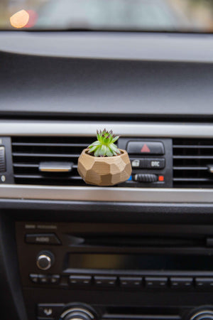 Melisseus - Cardening Mini Planter Car Accessory
