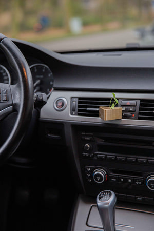 Pallas - Cardening Mini Planter Car Accessory