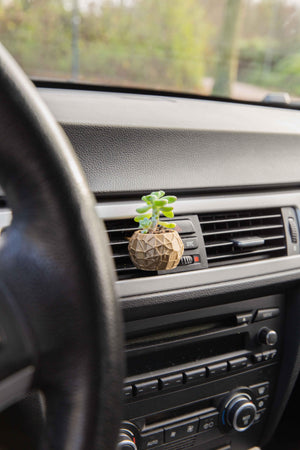 Perses - Cardening Mini Planter Car Accessory