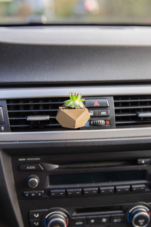 Prometheus - Cardening Mini Planter Car Accessory