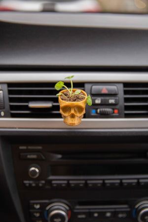 Skull - Cardening Mini Planter Car Accessory