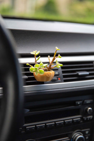 Evil Eye - Cardening Mini Planter Car Accessory