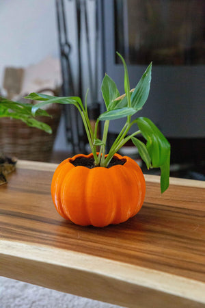 The Pumpkin - Planter