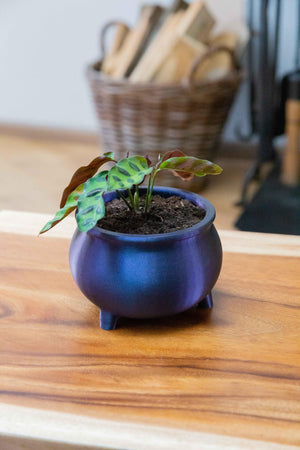 The Witches' Cauldron - Planter