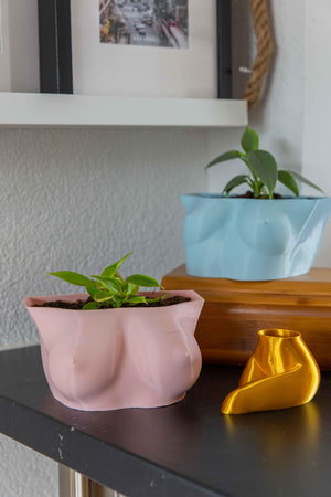 Cup C Boobs - Boobie Planter