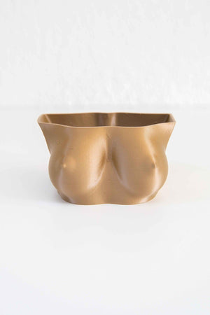 Cup C Boobs - Boobie Planter