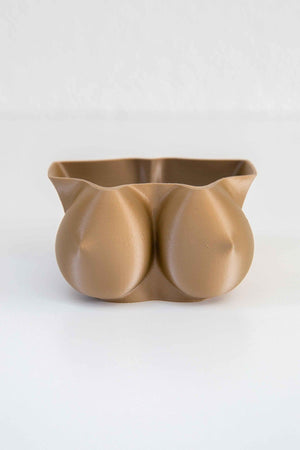 Cup F Boobs - Boobie Planter