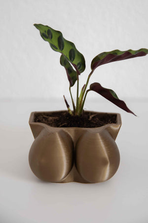 Cup F Boobs - Boobie Planter