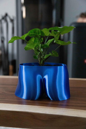 The Cheeky Butt - Booty Planter