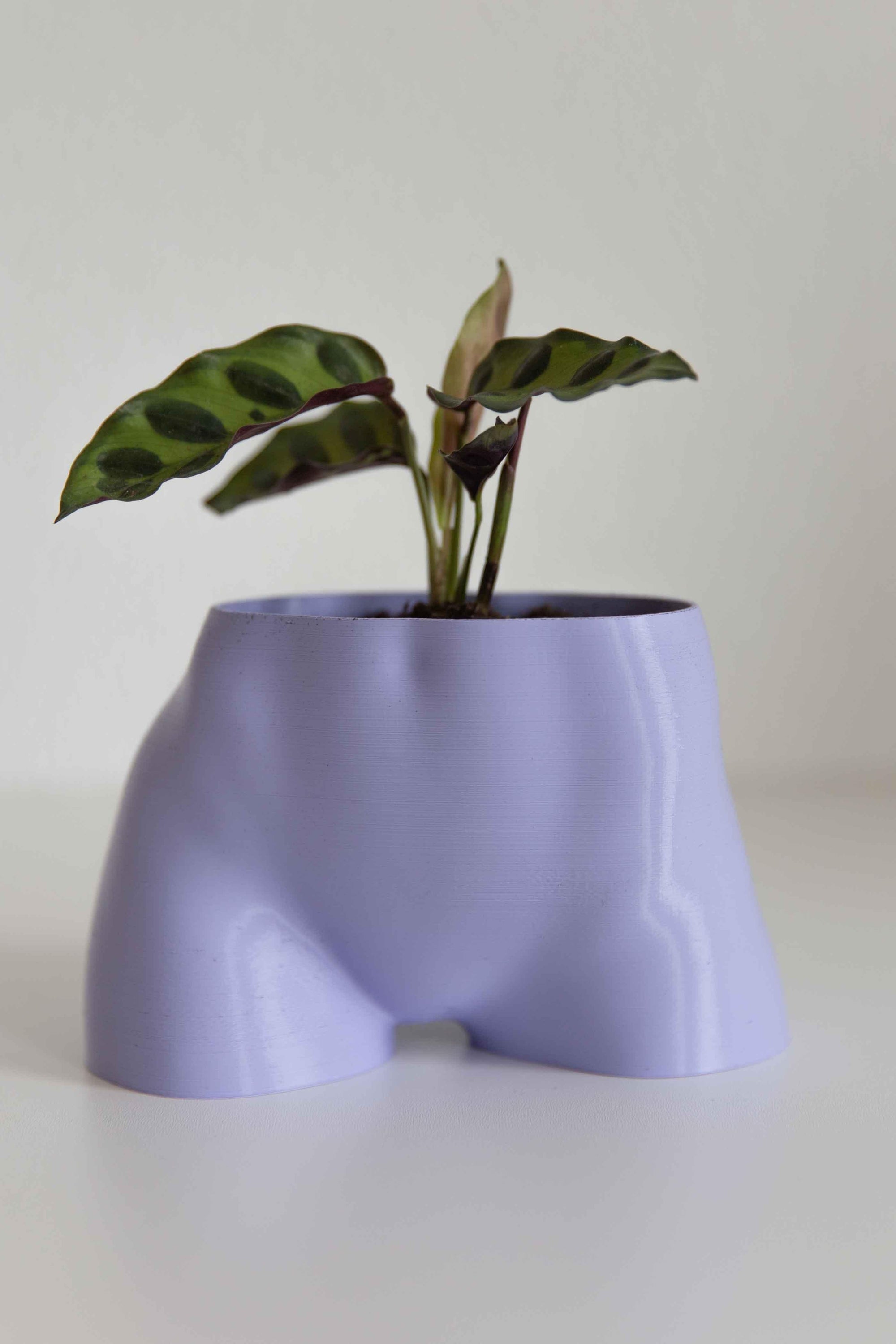 The Sporty Butt - Booty Planter