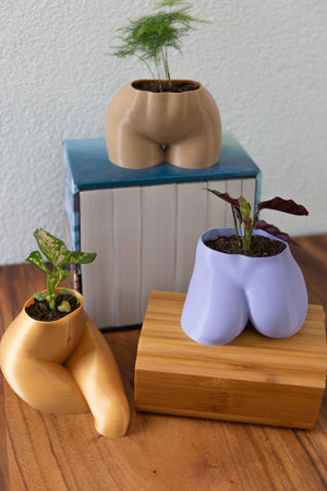 The Sporty Butt - Booty Planter