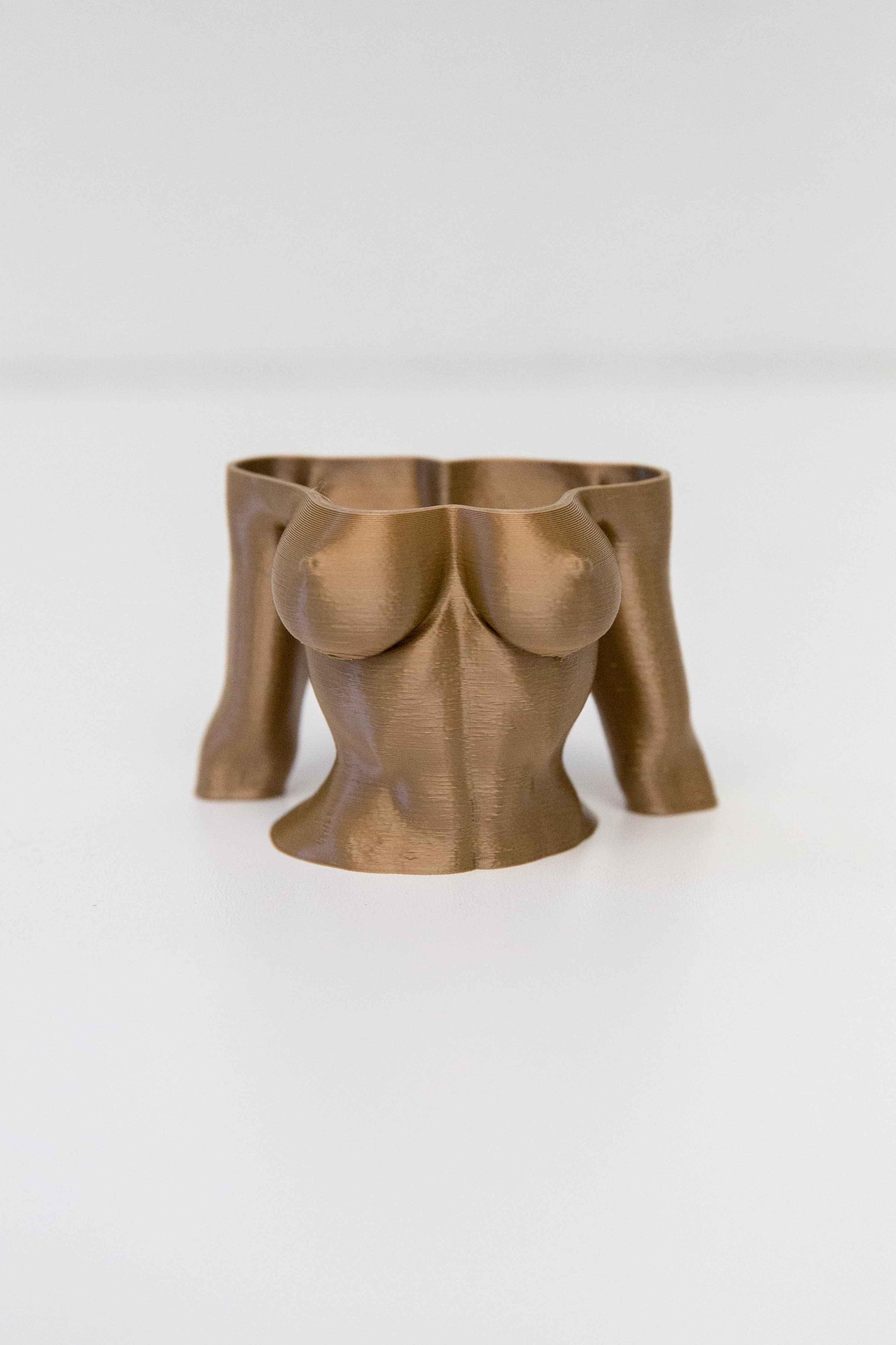 The Muscle Torso - Body Vase