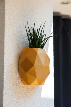 The Pineapple - Wall Planter