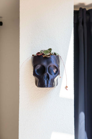 The Skull - Wall Planter
