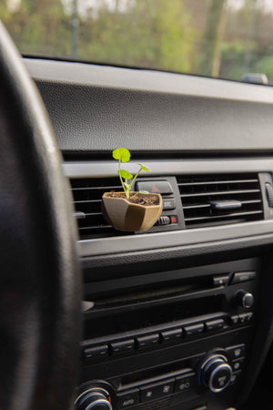 Eos - Cardening Mini Planter Car Accessory