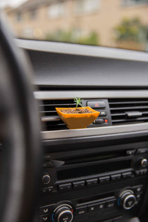 Japan - Cardening Mini Planter Car Accessory